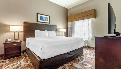 Suite, 1 King Bed with Sofa bed, Non Smoking