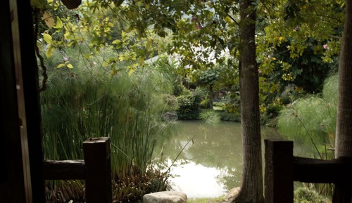 Standard Cottage, Non Smoking, Garden View