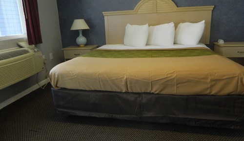 Room, 1 King Bed