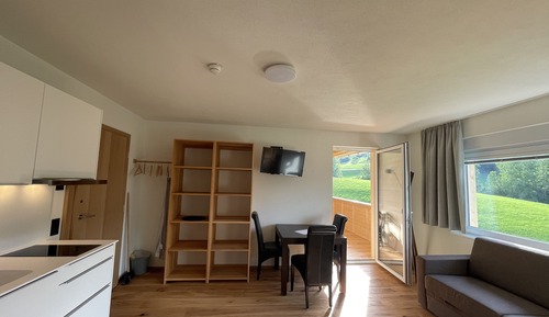 Apartment, 1 Bedroom, Balcony, Mountain View