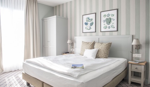 Single Room, 1 Queen Bed, Balcony