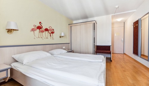 Basic Double Room