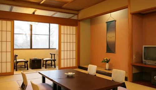 Standard Japanese Style Room 10 Tatami Mats