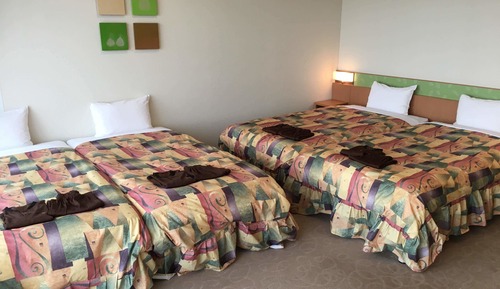 Deluxe Balcony Room, Non Smoking
