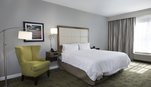 King Room, Accessible, Bathtub