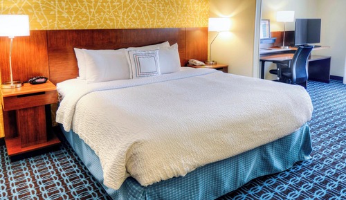 Suite, 1 King Bed with Sofa bed