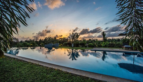 Signature Suite, Pool View, Poolside