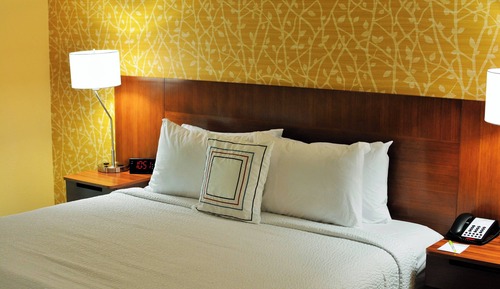 Room, 1 King Bed