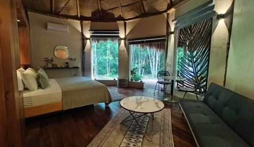 Premium Cabin
