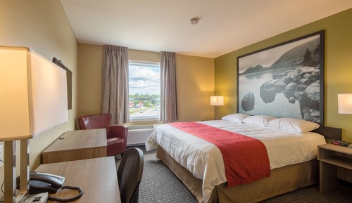 Room, 1 King Bed, Accessible, Non Smoking (Roll-In Shower)
