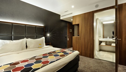 Standard Double Room, 1 King Bed, Non Smoking