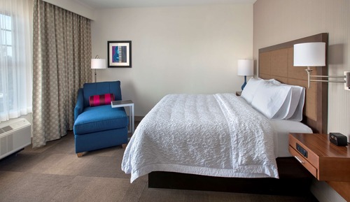Room, 1 King Bed, Non Smoking, Refrigerator & Microwave