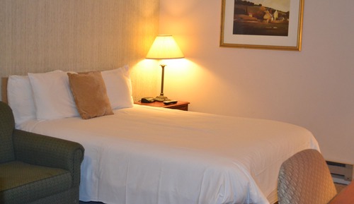 Room, 1 Queen Bed