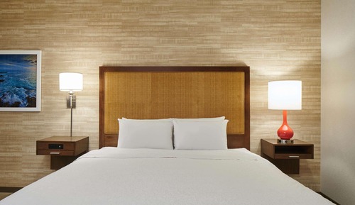 Room, 1 King Bed, Non Smoking, Refrigerator