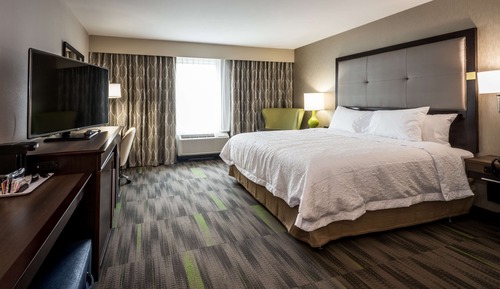 Room, 1 King Bed, Non Smoking, Refrigerator & Microwave