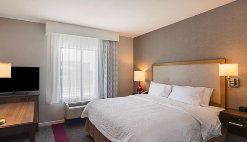 Room, 1 King Bed, Non Smoking, Refrigerator & Microwave