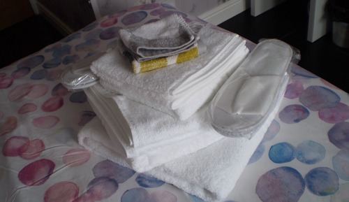 Standard Double Room, Ensuite, Courtyard View (Tysilio - Rose Room )