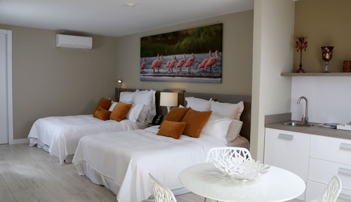 Double Pool View Suite (Two Queen Beds)