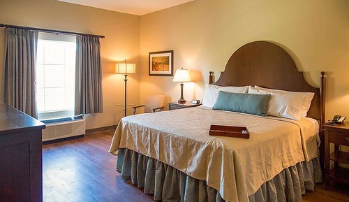 Room, 1 King Bed, Mobility Accessible, Non Smoking (Roll-in Shower)
