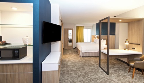 Suite, 1 King Bed with Sofa bed, Non Smoking