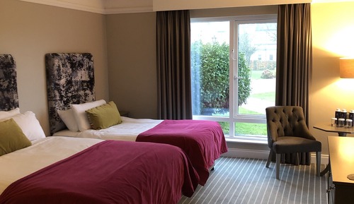 Family Room, Multiple Beds