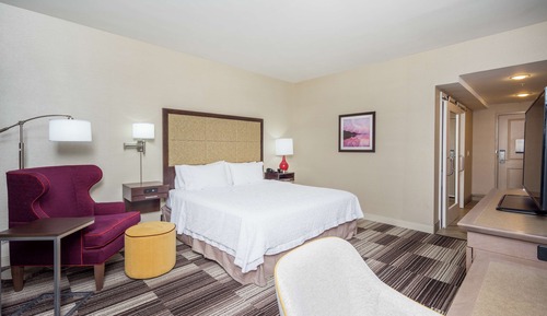 Room, 1 King Bed, Accessible (Roll In Shower)