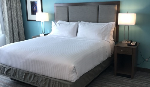 Suite, 1 King Bed with Sofa bed