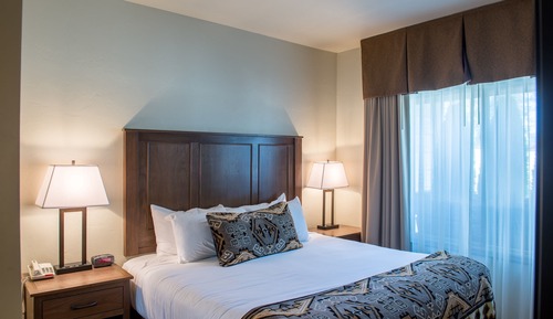 Suite, 1 King Bed with Sofa bed