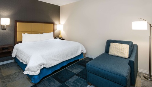 Room, 1 King Bed, Accessible, Non Smoking (Roll In Shower)