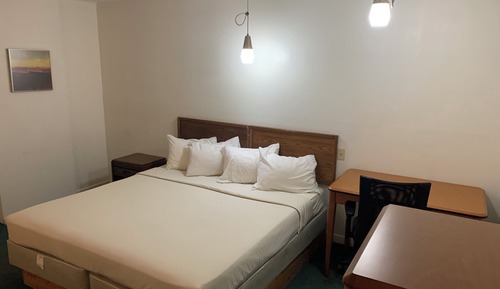 Room, 1 King Bed