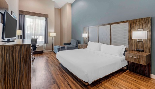 Standard Room, 1 King Bed, Accessible, Non Smoking (Walk-in Shower;Pet Friendly)