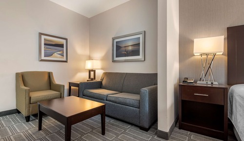 Suite, 1 King Bed, Non Smoking, Refrigerator & Microwave (with Sofabed)