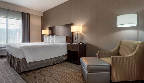Standard Room, 1 King Bed, Non Smoking, Refrigerator & Microwave
