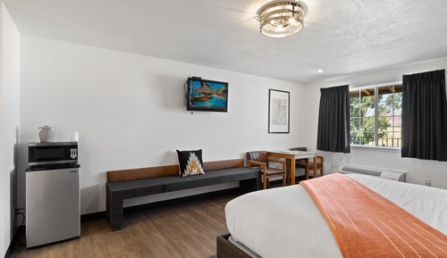 Room, 1 King Bed, Refrigerator & Microwave, Mountain View
