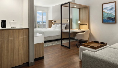 Suite, 1 King Bed with Sofa bed