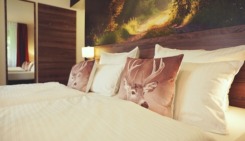 Comfort Double Room, Non Smoking, Mountain View