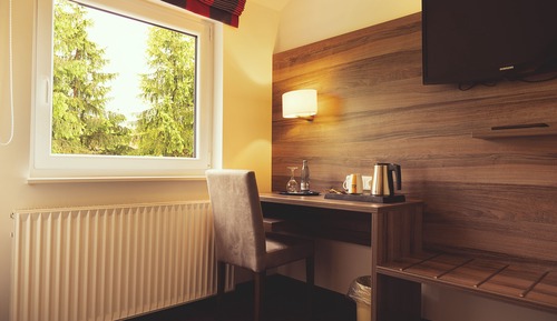 Comfort Single Room, Non Smoking, Mountain View