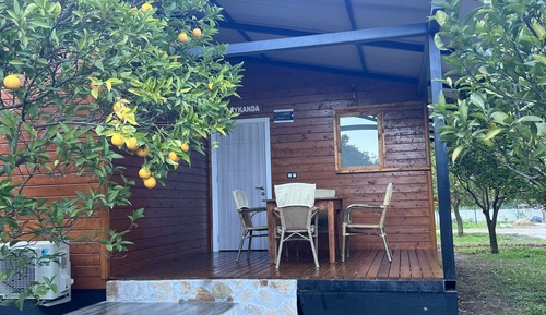 Family Villa
