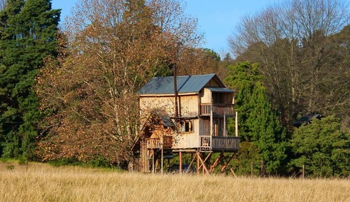 Faraway Treehouse