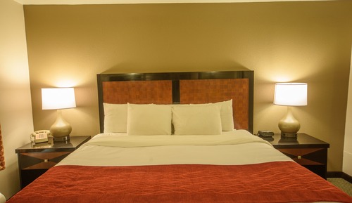 Standard Suite, 1 King Bed