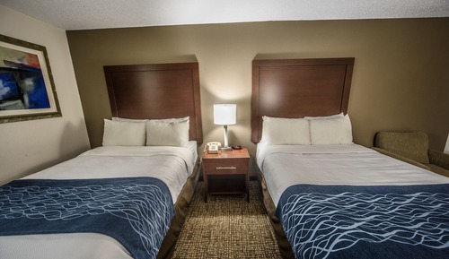 Standard Room, 2 Double Beds