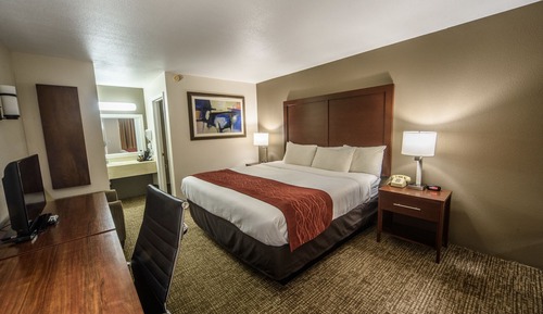 Premium Room, 1 King Bed