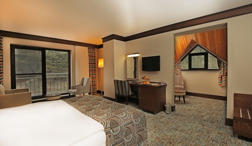 Standard Double or Twin Room, Forest View