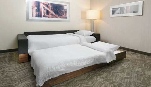Studio, 1 King Bed with Sofa bed