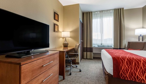 Standard Room, 1 King Bed, Non Smoking