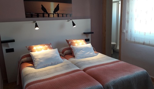 Standard Twin Room