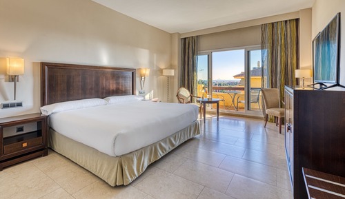 Double Room, 1 King Bed
