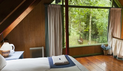 Forest Lodge