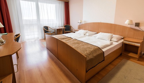 Standard Double or Twin Room, 1 Queen Bed, Non Smoking, City View
