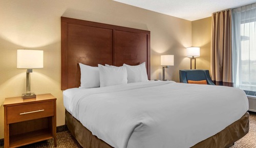 Standard Room, 1 King Bed, Non Smoking